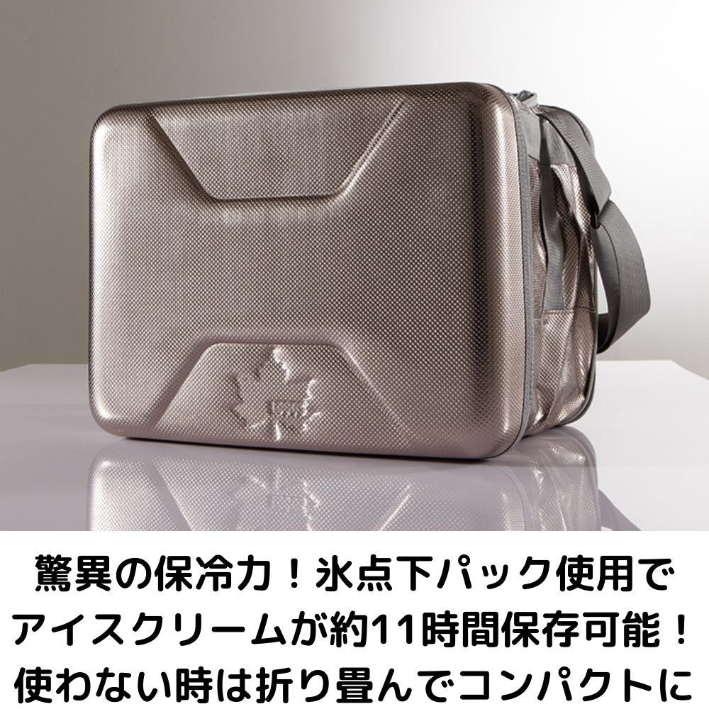 クーラーボックス 保冷 20L ハイパー氷点下クーラーL 81670080 折りたたみ アウトドア キャンプ