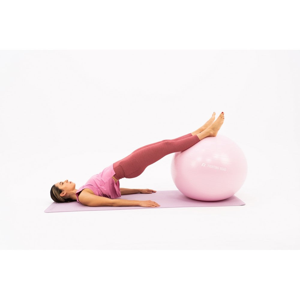 ファイティングロード Co.Ltd/ジムボール 55cm FR23CMS0048 SAX