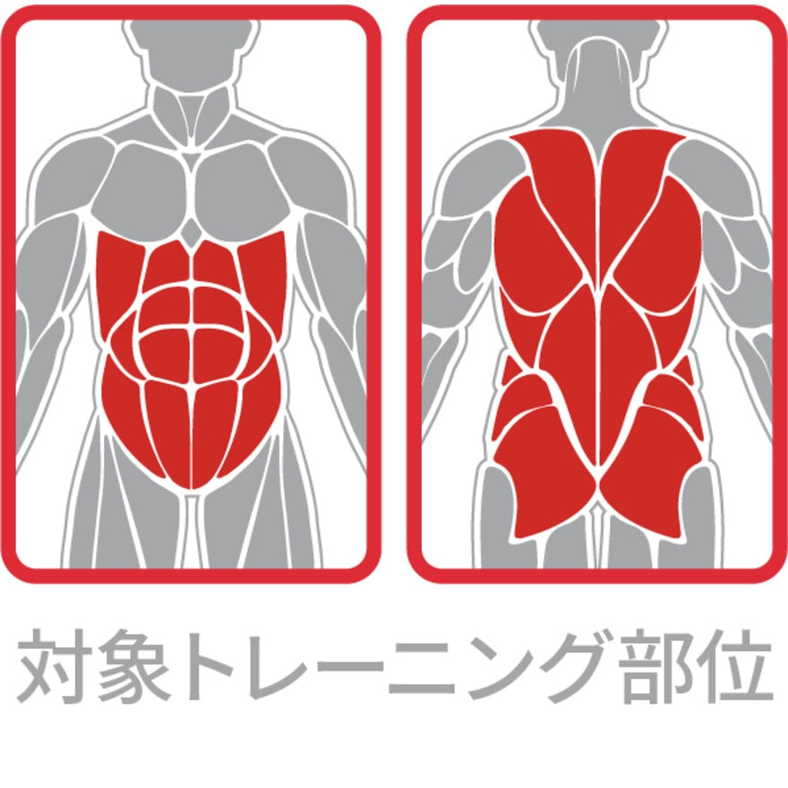 ファイティングロード Co.Ltd/ジムボール 55cm FR23CMS0048 SAX