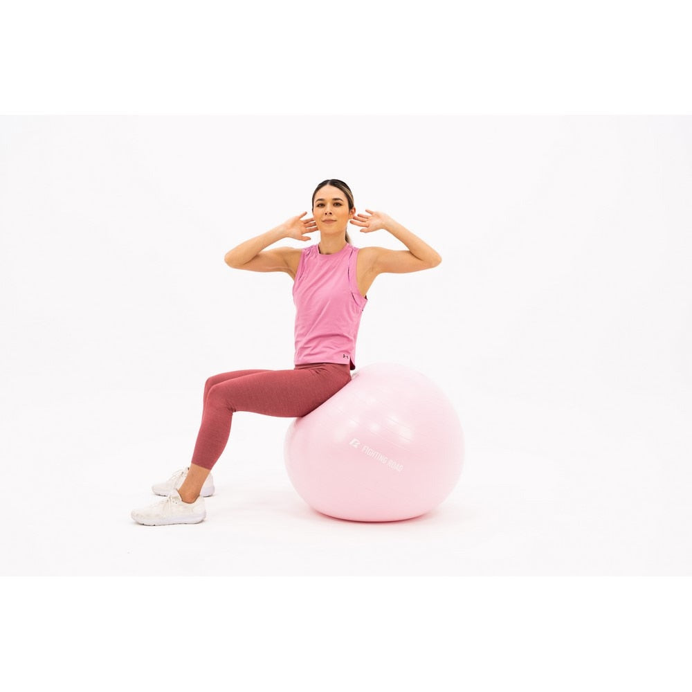 ファイティングロード Co.Ltd/ジムボール 65cm FR23CMS0049 SAX