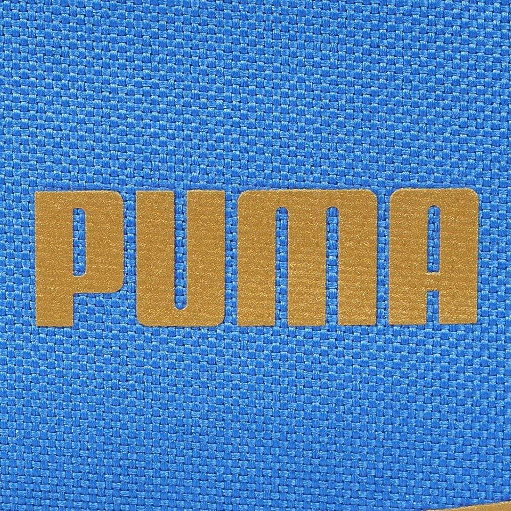 水泳バッグ スタイル 2ルームスイムバッグ【PUMA(プーマ) 07904206】