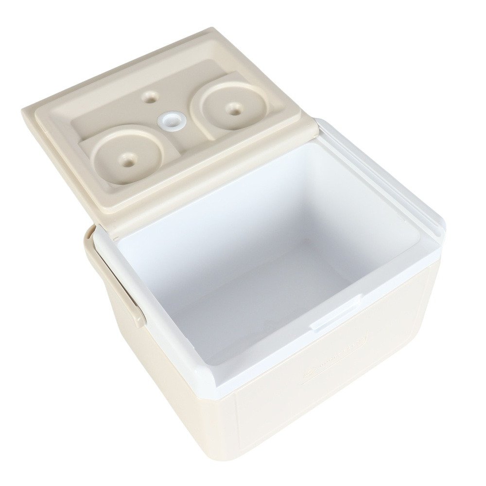 クーラーボックス 小型 アウトドア 保冷 5.5L COOLPOINT 6 WE2TDI35 IVR