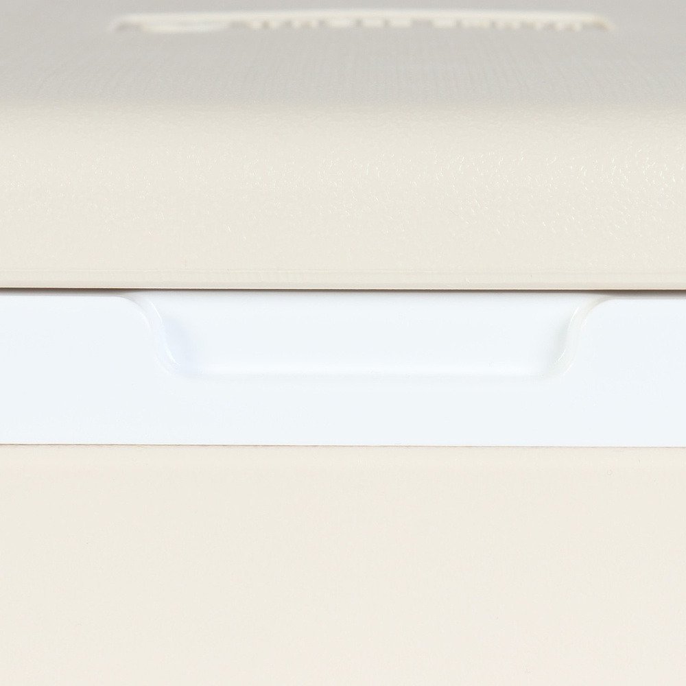 クーラーボックス 小型 アウトドア 保冷 5.5L COOLPOINT 6 WE2TDI35 IVR
