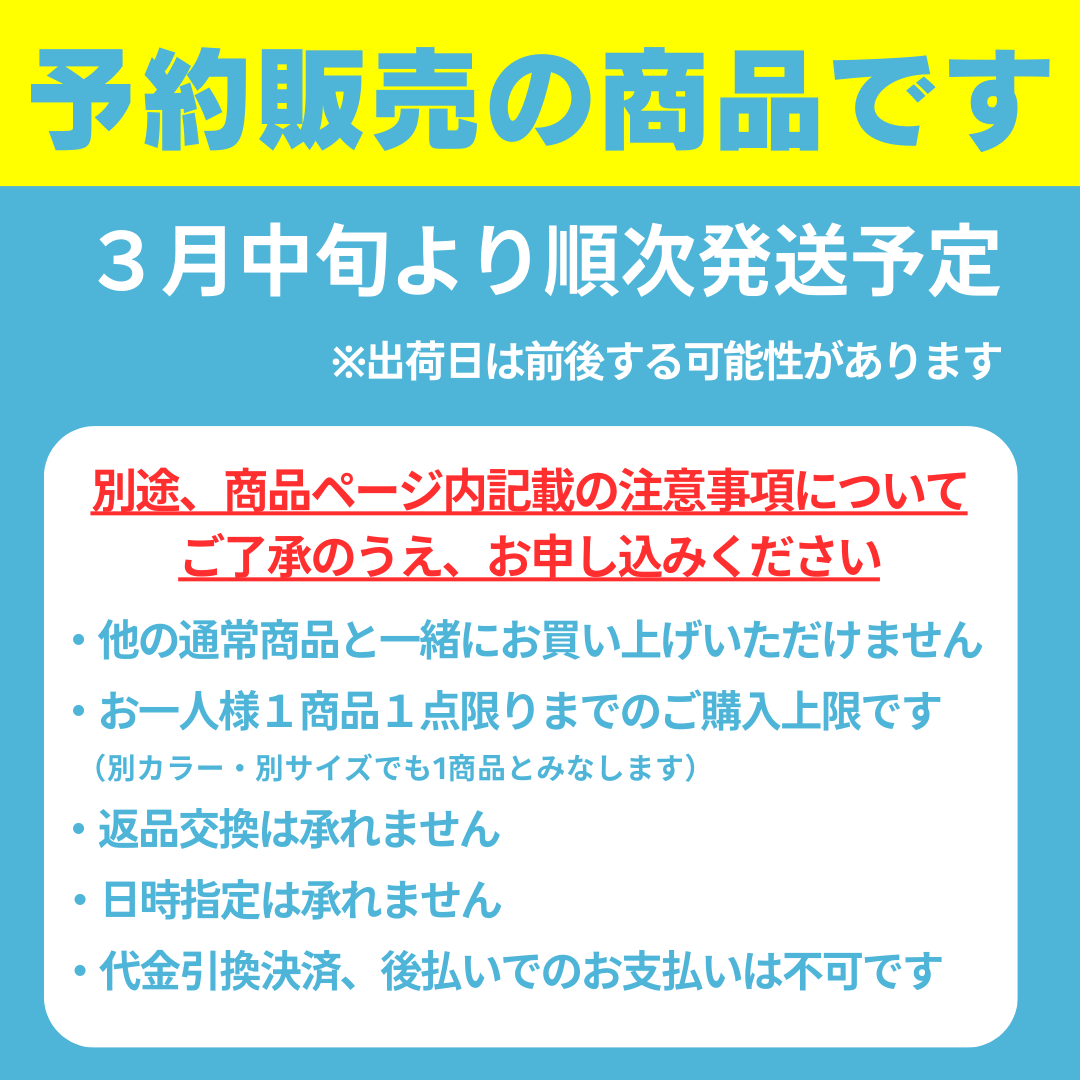 【予約販売】 新作2025年春夏モデル ミズノ 池江璃花子選手監修  競泳練習用 セパレート トレーニング水着 セパレーツ EXER SUITS Ri Collection レディース MIZUNO N2MAC270 エクサースーツ【Rikako ikee collection】