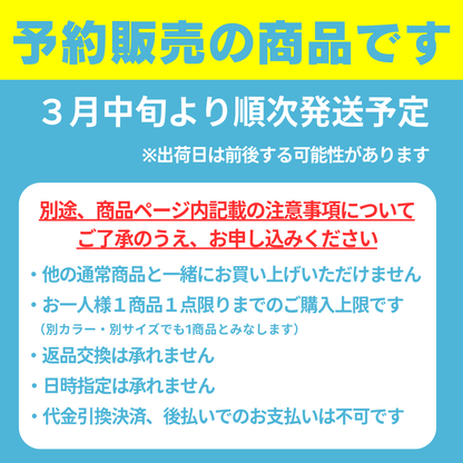 【予約販売】 新作2025年春夏モデル ミズノ 池江璃花子選手監修  競泳練習用 セパレート トレーニング水着 セパレーツ EXER SUITS Ri Collection レディース MIZUNO N2MAC270 エクサースーツ【Rikako ikee collection】