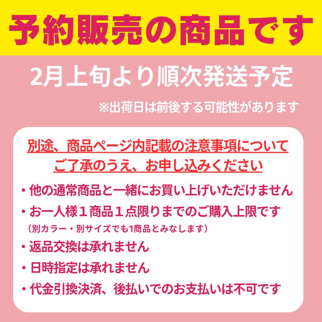 【予約商品】 競泳練習用水着 ジュニア 女子 ガールズ スピード カービィ Speedo Kirby Truns ターンズ カービー STG02603
